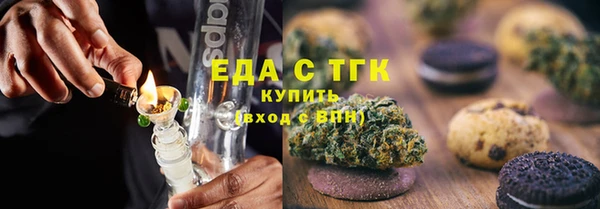 гашик Бородино