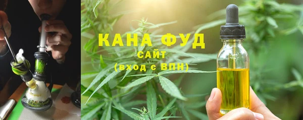 гашик Бородино