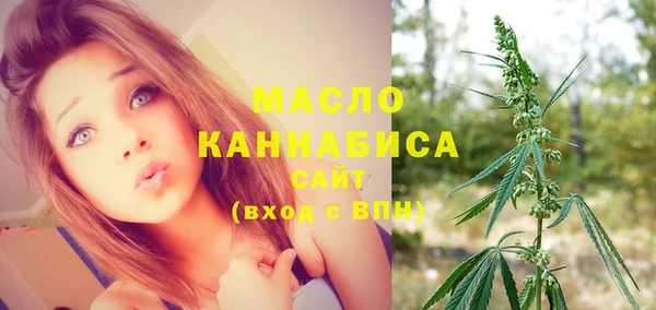 гашик Бородино